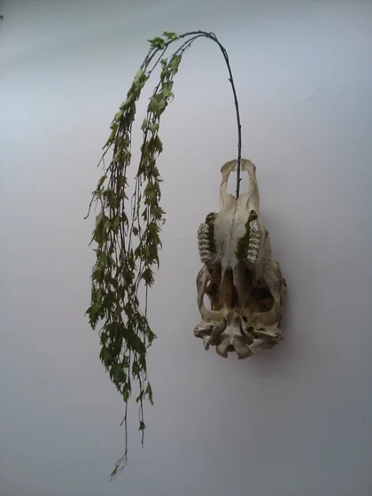 Illusion of Death (Right)