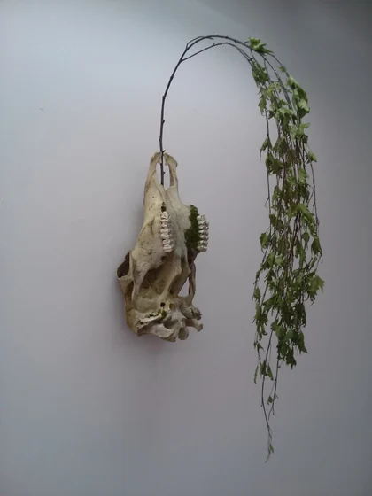 Illusion of Death (left side)