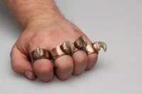 Claws (Paw)