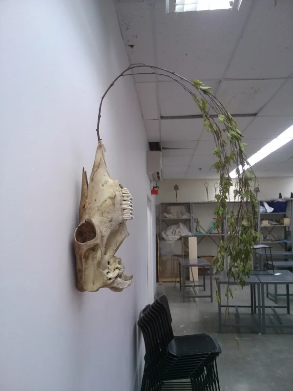 Illusion of Death (Deep Left)