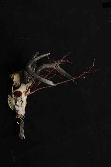 Death-Right