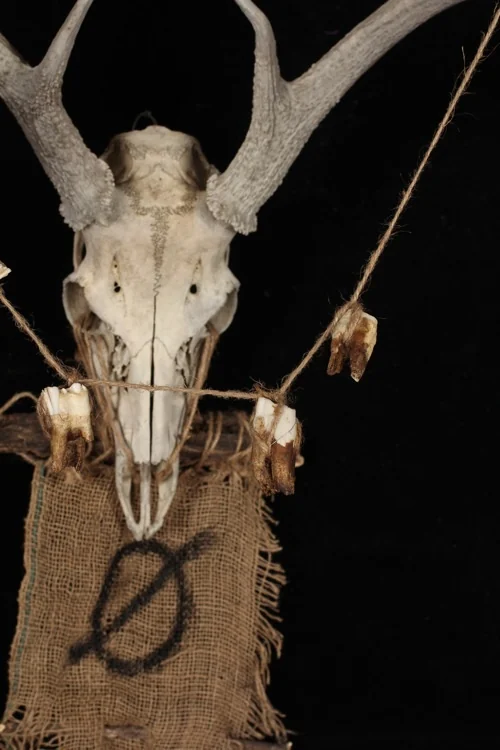 Famine-Close View