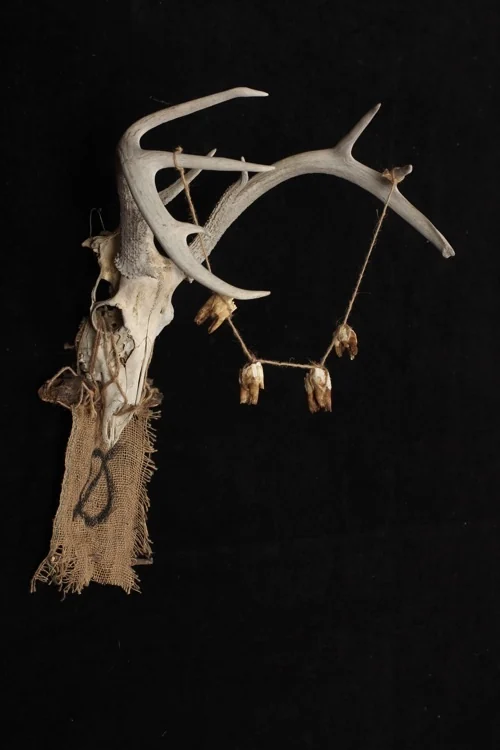 Famine-Right View
