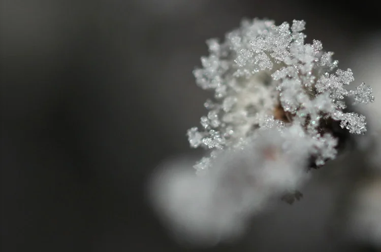Crystal Cloud