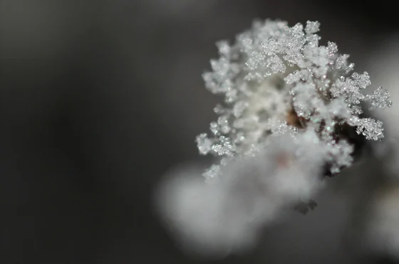 Crystal Cloud